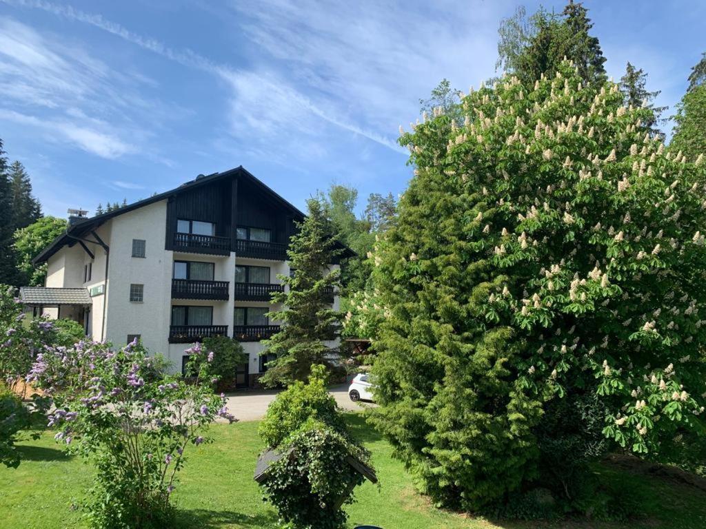 Landhaus Am Forst Bad Alexandersbad Exterior photo