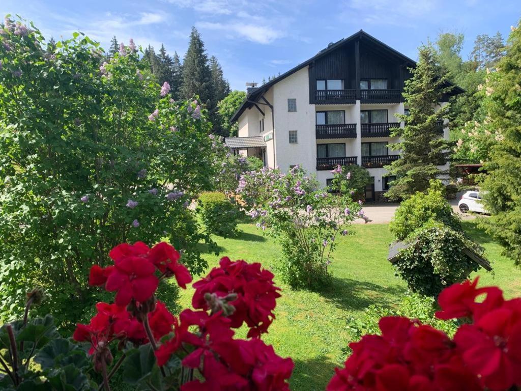 Landhaus Am Forst Bad Alexandersbad Exterior photo