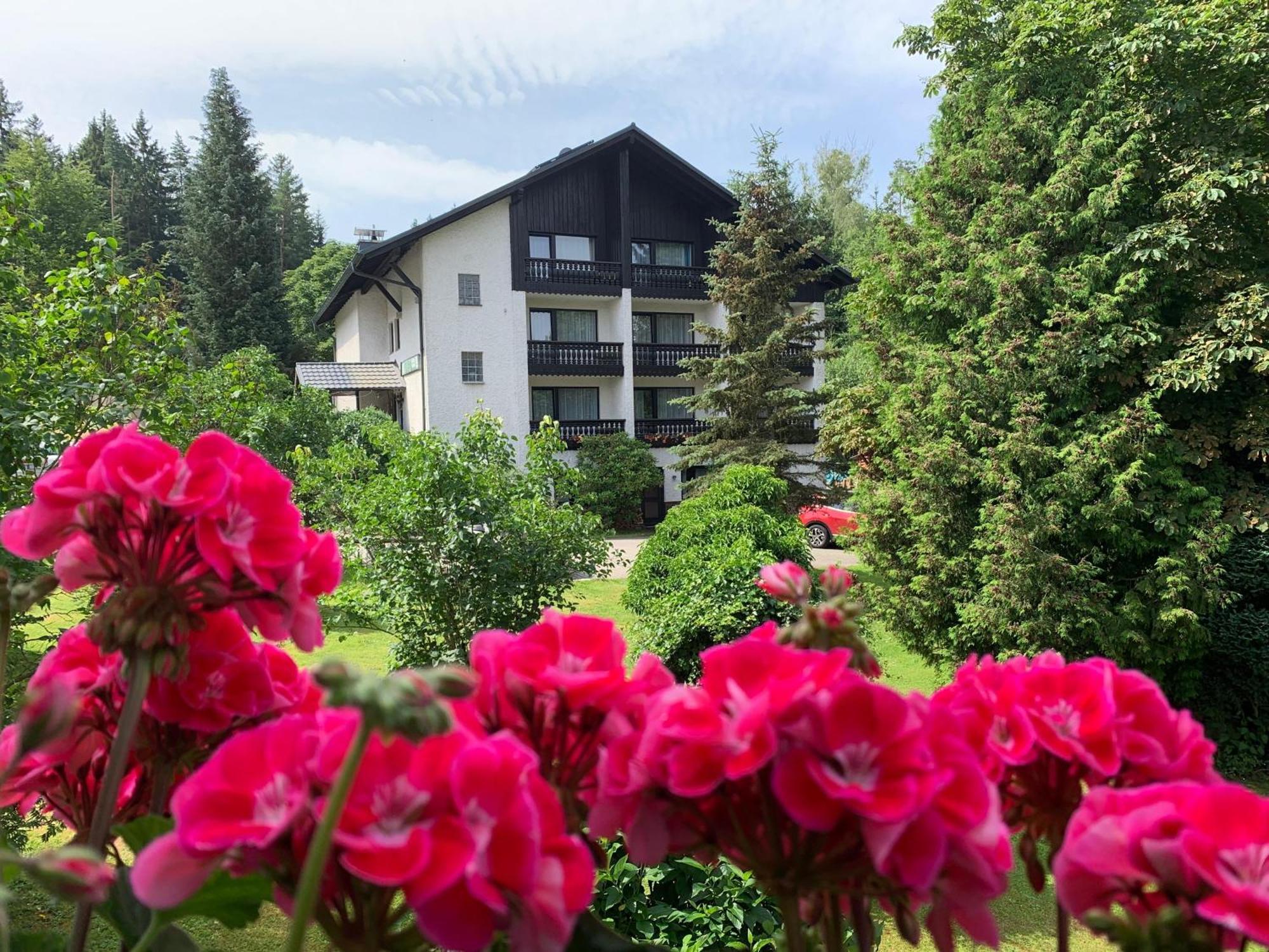 Landhaus Am Forst Bad Alexandersbad Exterior photo