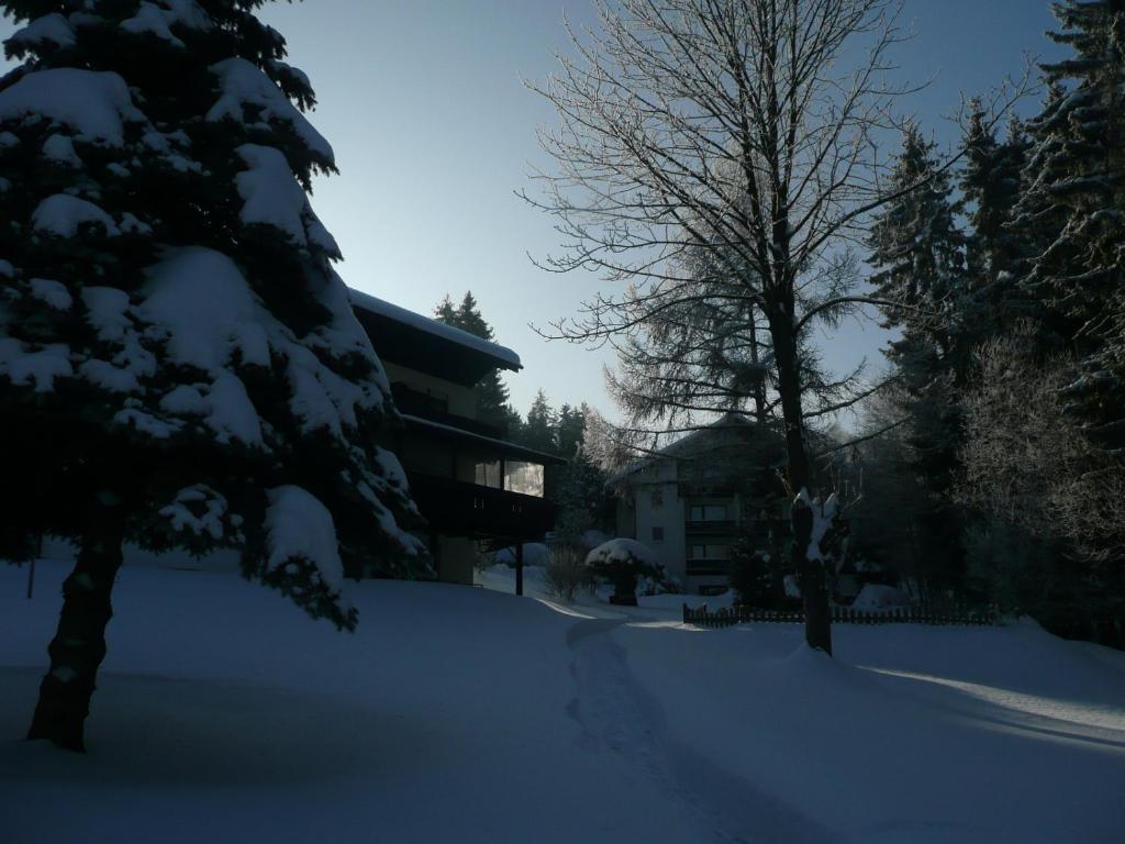 Landhaus Am Forst Bad Alexandersbad Exterior photo